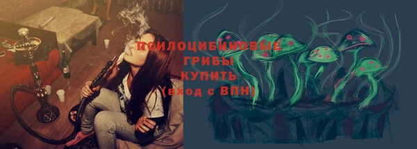 трава Аркадак