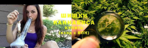трава Аркадак