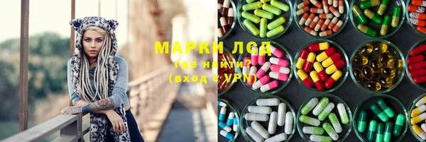 трава Аркадак