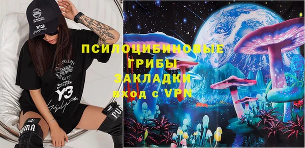 тгк Арсеньев